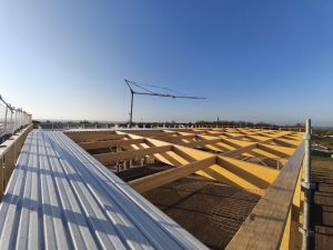 Charpente de la salle multi-activités