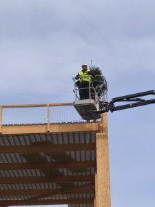 M. le maire hisse le sapin
